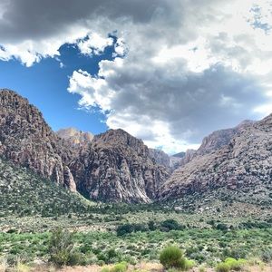 Meet your Posher, Diana